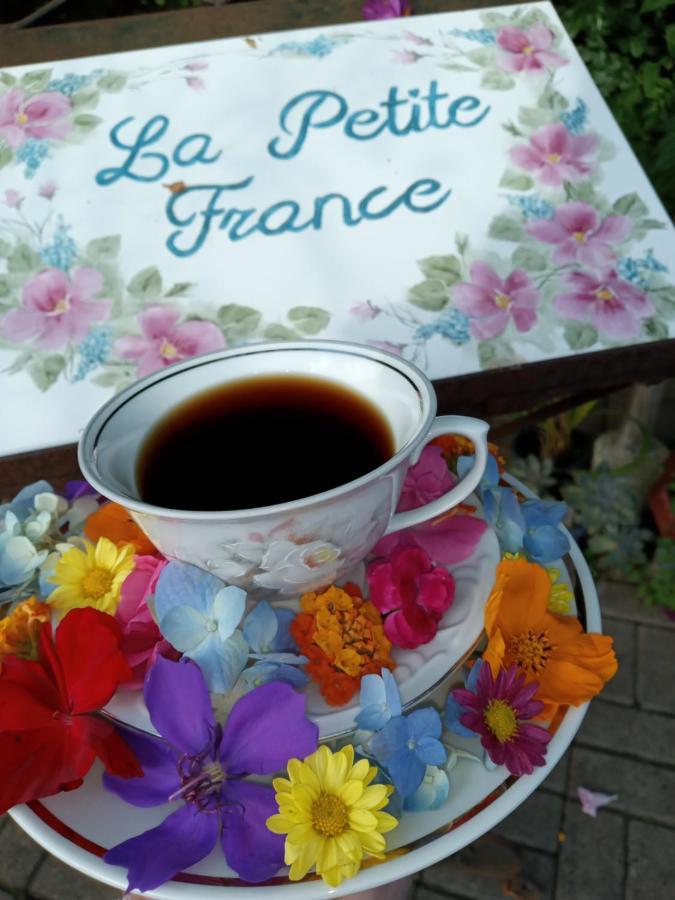 La Petite France Otel Nova Petropolis Dış mekan fotoğraf